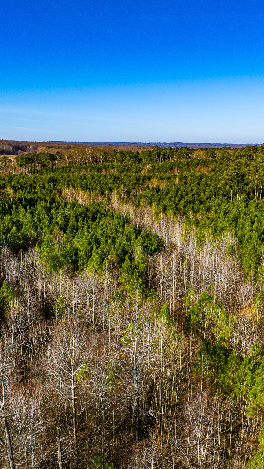 Aerial view of wooded acreage under a clear sky