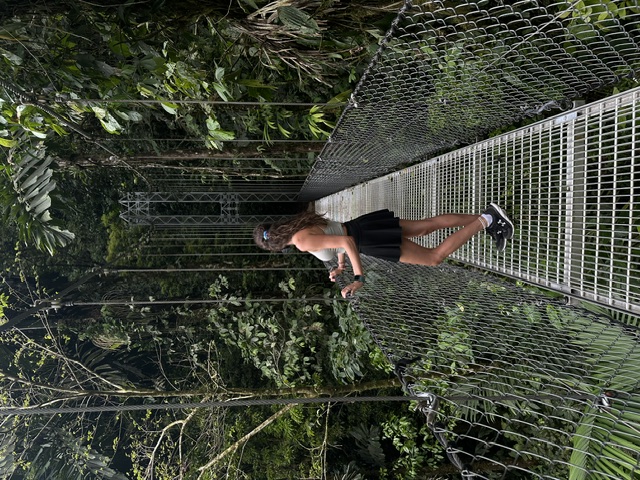 On a suspension bridge in the rainforest